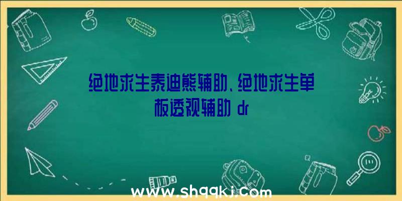 绝地求生泰迪熊辅助、绝地求生单板透视辅助